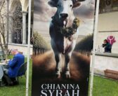 Chianina & Syrah 2024 con altri giorni a San Gimignano e dintorni